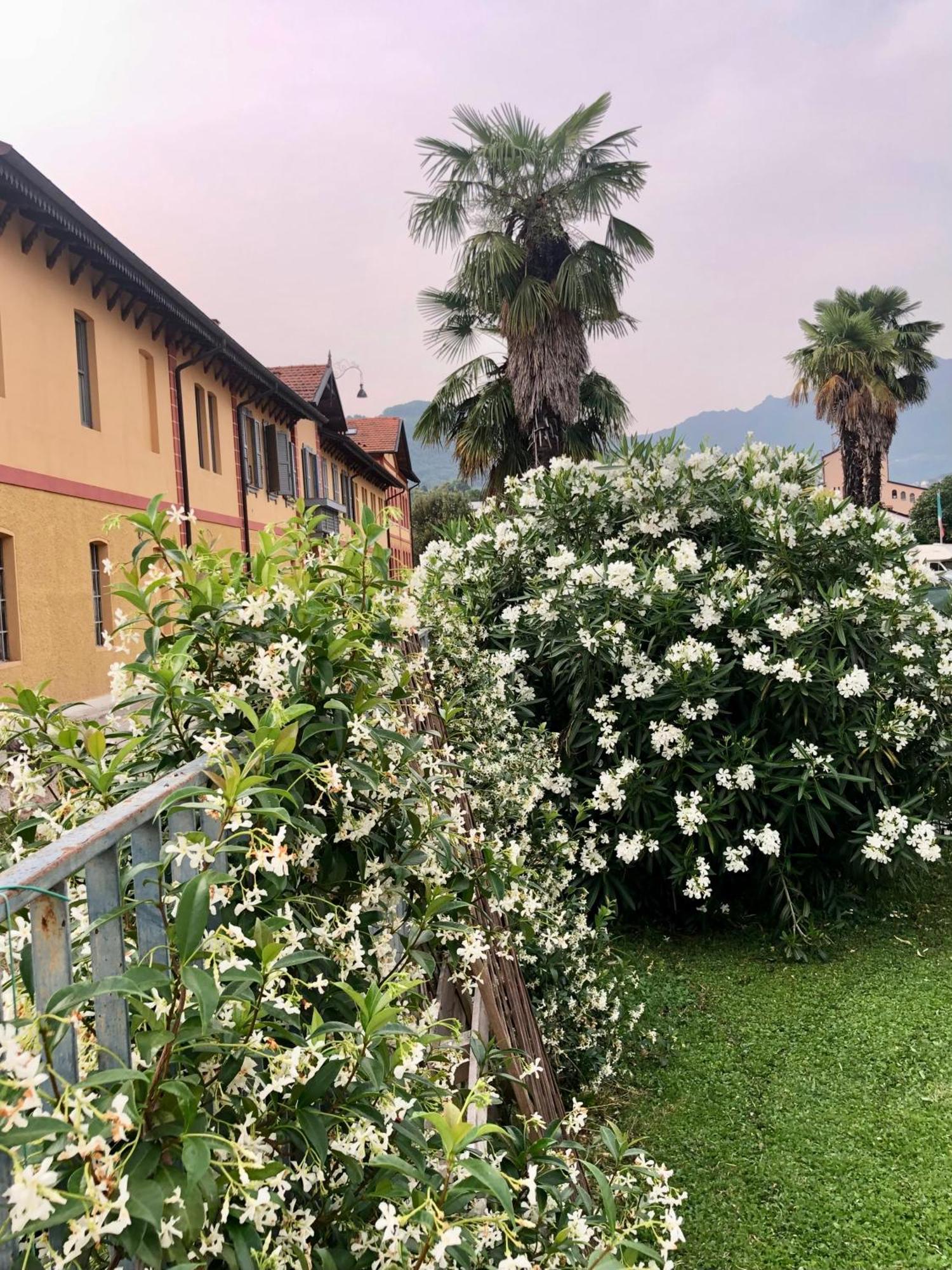 Roggia Maestra B&B สคิโอ ภายนอก รูปภาพ